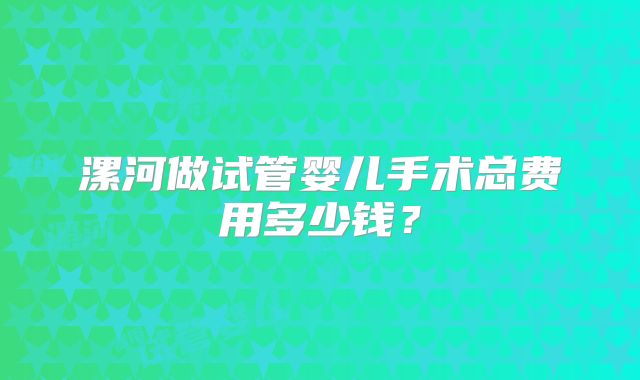 漯河做试管婴儿手术总费用多少钱？