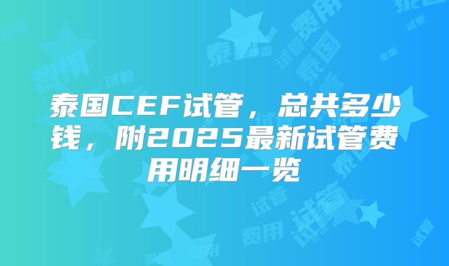 泰国CEF试管，总共多少钱，附2025最新试管费用明细一览