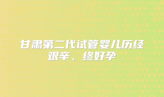 甘肃第二代试管婴儿历经艰辛，终好孕