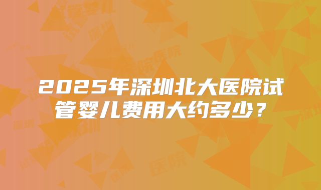 2025年深圳北大医院试管婴儿费用大约多少？