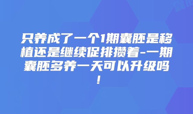 只养成了一个1期囊胚是移植还是继续促排攒着-一期囊胚多养一天可以升级吗！