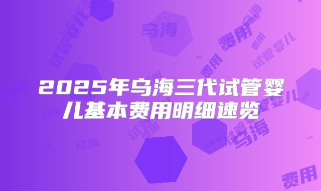 2025年乌海三代试管婴儿基本费用明细速览