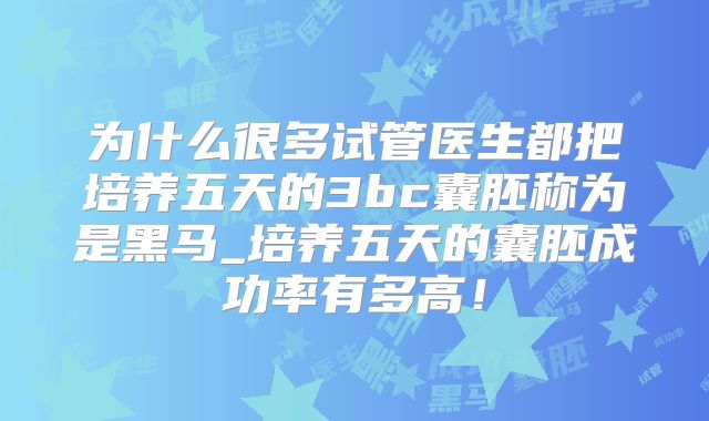 为什么很多试管医生都把培养五天的3bc囊胚称为是黑马_培养五天的囊胚成功率有多高！