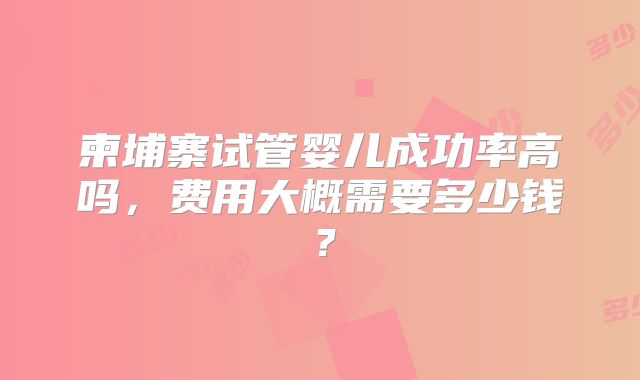 柬埔寨试管婴儿成功率高吗，费用大概需要多少钱？