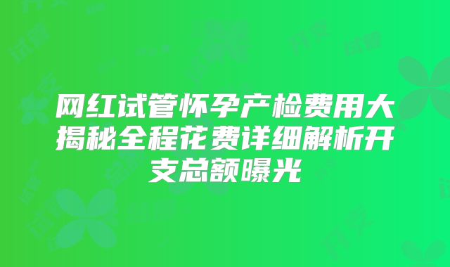 网红试管怀孕产检费用大揭秘全程花费详细解析开支总额曝光