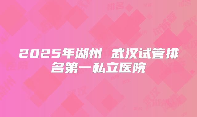 2025年湖州 武汉试管排名第一私立医院