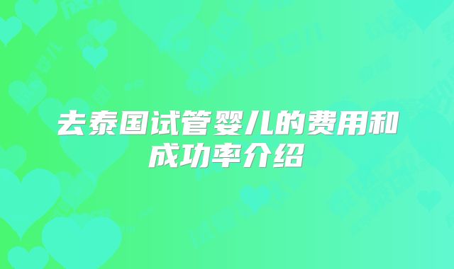 去泰国试管婴儿的费用和成功率介绍