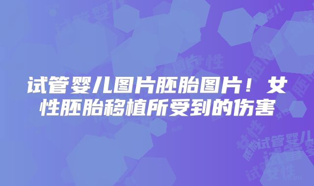 试管婴儿图片胚胎图片!女性胚胎移植所受到的伤害