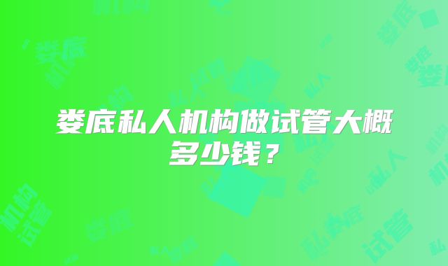 娄底私人机构做试管大概多少钱？