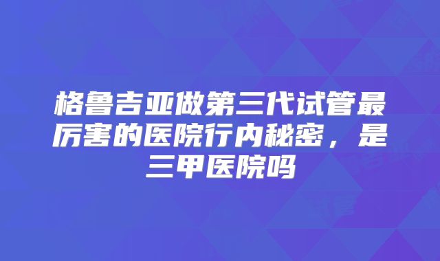 格鲁吉亚做第三代试管最厉害的医院行内秘密，是三甲医院吗