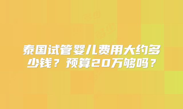 泰国试管婴儿费用大约多少钱？预算20万够吗？