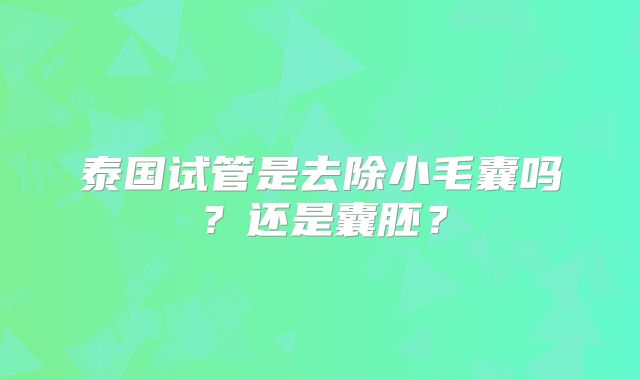 泰国试管是去除小毛囊吗？还是囊胚？