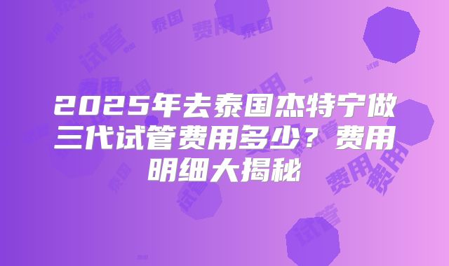 2025年去泰国杰特宁做三代试管费用多少？费用明细大揭秘