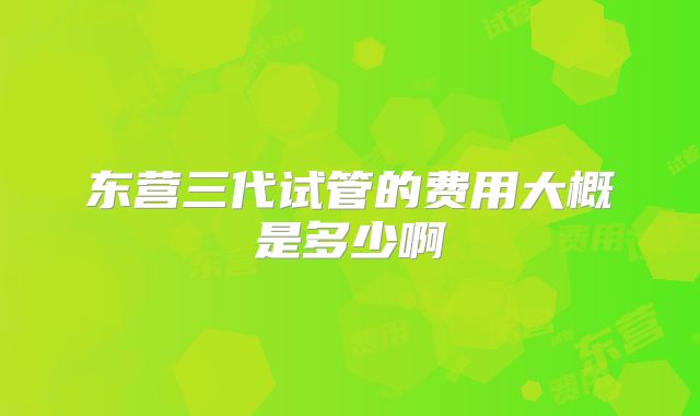 东营三代试管的费用大概是多少啊
