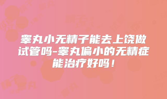 睾丸小无精子能去上饶做试管吗-睾丸偏小的无精症能治疗好吗！
