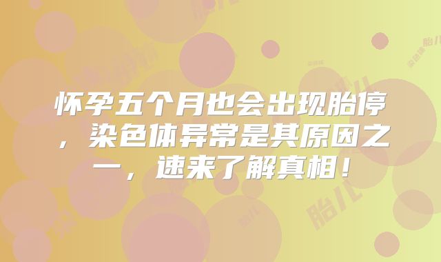 怀孕五个月也会出现胎停，染色体异常是其原因之一，速来了解真相！