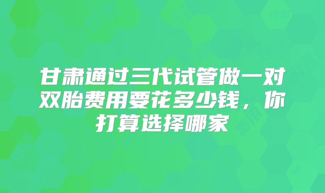 甘肃通过三代试管做一对双胎费用要花多少钱，你打算选择哪家