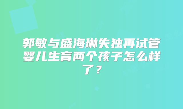 郭敏与盛海琳失独再试管婴儿生育两个孩子怎么样了？