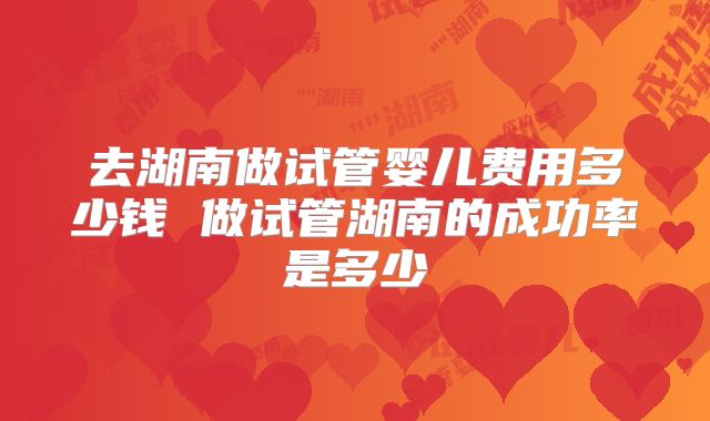 去湖南做试管婴儿费用多少钱 做试管湖南的成功率是多少