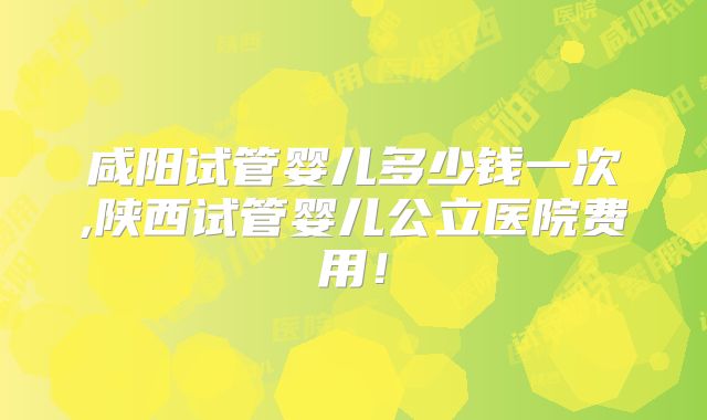 咸阳试管婴儿多少钱一次,陕西试管婴儿公立医院费用！
