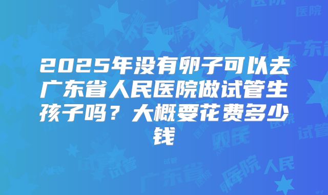 2025年没有卵子可以去广东省人民医院做试管生孩子吗?大概要花费多少钱
