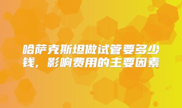 哈萨克斯坦做试管要多少钱, 影响费用的主要因素