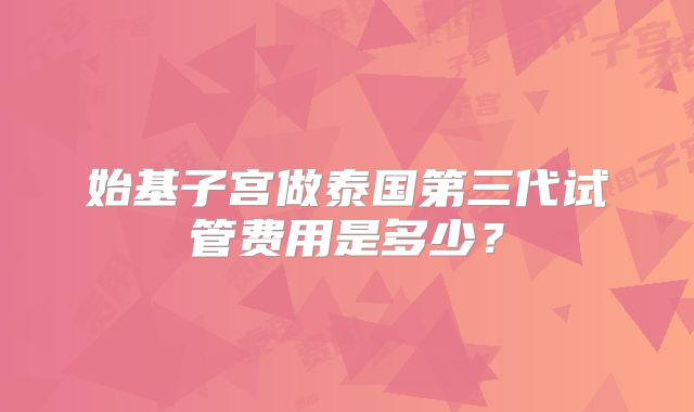 始基子宫做泰国第三代试管费用是多少？