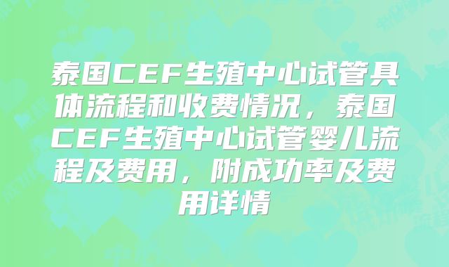 泰国CEF生殖中心试管具体流程和收费情况，泰国CEF生殖中心试管婴儿流程及费用，附成功率及费用详情
