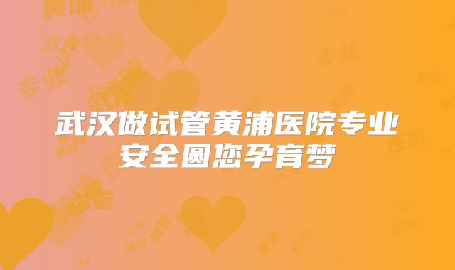 武汉做试管黄浦医院专业安全圆您孕育梦