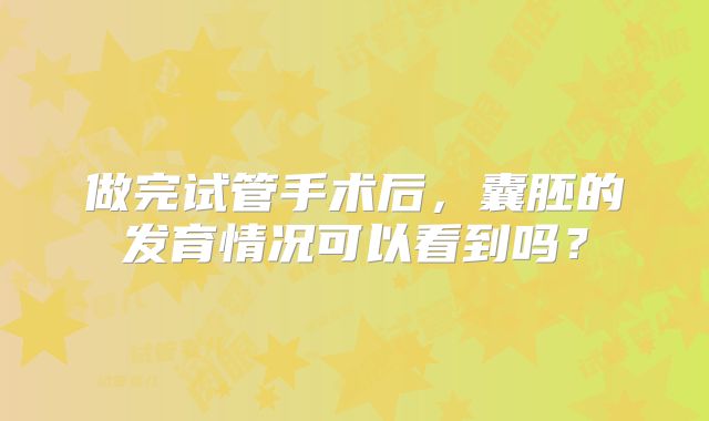 做完试管手术后，囊胚的发育情况可以看到吗？