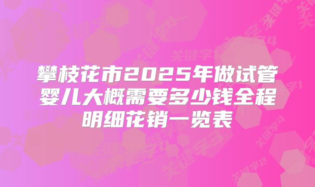 攀枝花市2025年做试管婴儿大概需要多少钱全程明细花销一览表