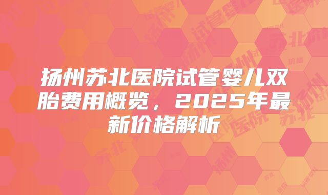扬州苏北医院试管婴儿双胎费用概览，2025年最新价格解析