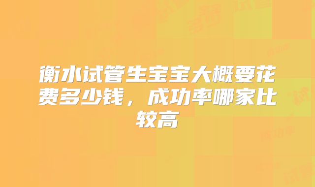 衡水试管生宝宝大概要花费多少钱，成功率哪家比较高