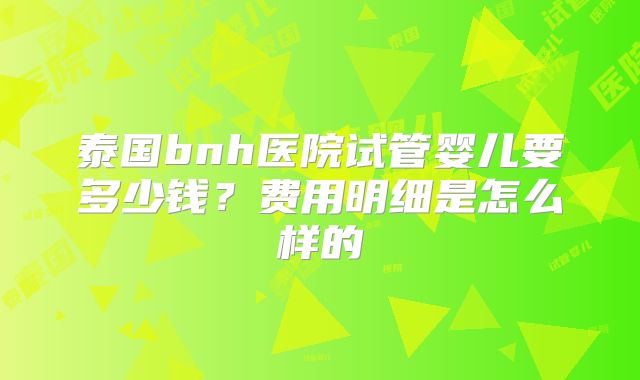 泰国bnh医院试管婴儿要多少钱？费用明细是怎么样的