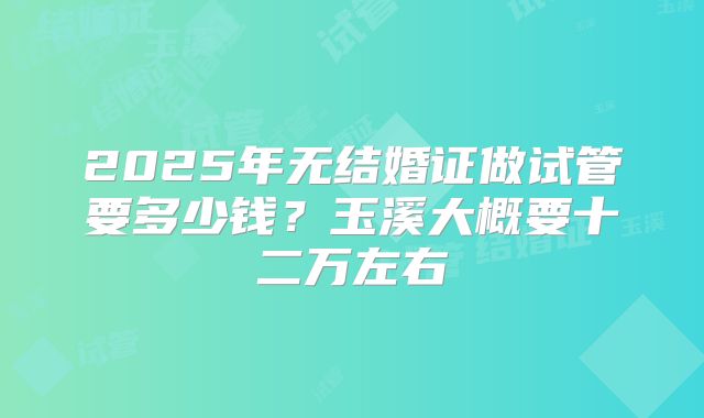 2025年无结婚证做试管要多少钱?玉溪大概要十二万左右