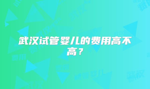 武汉试管婴儿的费用高不高？