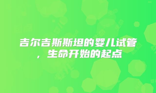 吉尔吉斯斯坦的婴儿试管，生命开始的起点