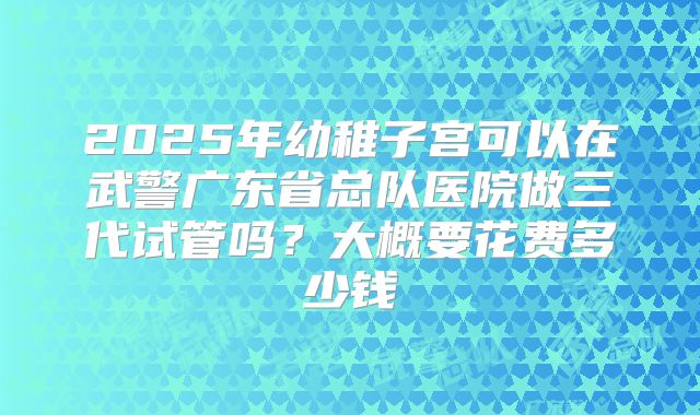 2025年幼稚子宫可以在武警广东省总队医院做三代试管吗?大概要花费多少钱