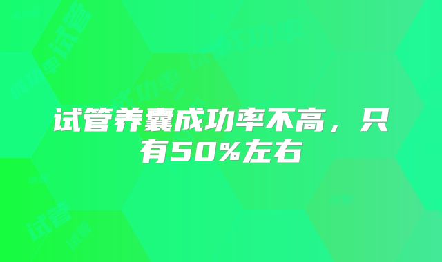 试管养囊成功率不高,只有50%左右