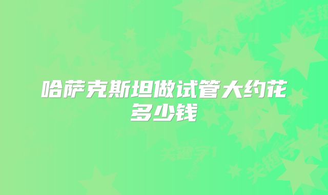 哈萨克斯坦做试管大约花多少钱