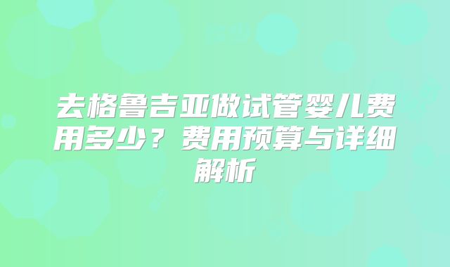 去格鲁吉亚做试管婴儿费用多少？费用预算与详细解析