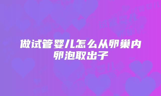 做试管婴儿怎么从卵巢内卵泡取出子