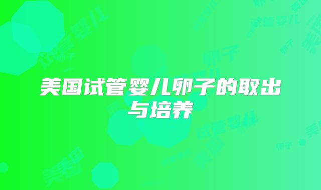 美国试管婴儿卵子的取出与培养