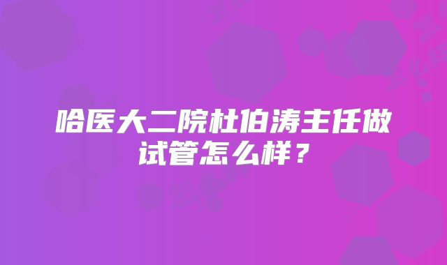 哈医大二院杜伯涛主任做试管怎么样？
