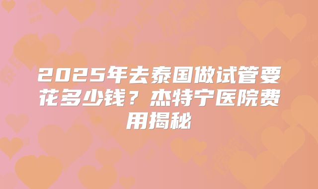 2025年去泰国做试管要花多少钱？杰特宁医院费用揭秘