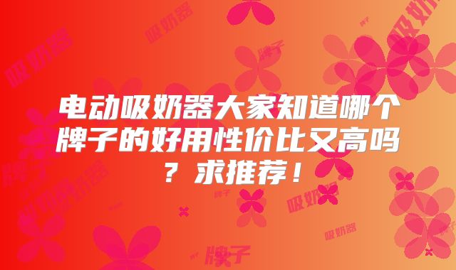 电动吸奶器大家知道哪个牌子的好用性价比又高吗？求推荐！