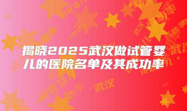 揭晓2025武汉做试管婴儿的医院名单及其成功率