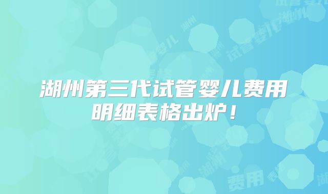 湖州第三代试管婴儿费用明细表格出炉!