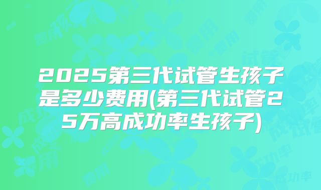 2025第三代试管生孩子是多少费用(第三代试管25万高成功率生孩子)