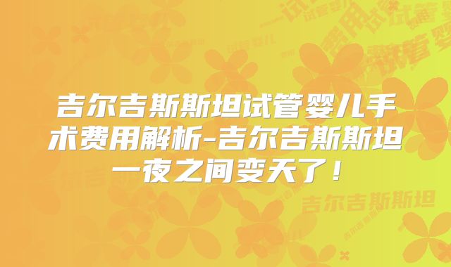 吉尔吉斯斯坦试管婴儿手术费用解析-吉尔吉斯斯坦一夜之间变天了！